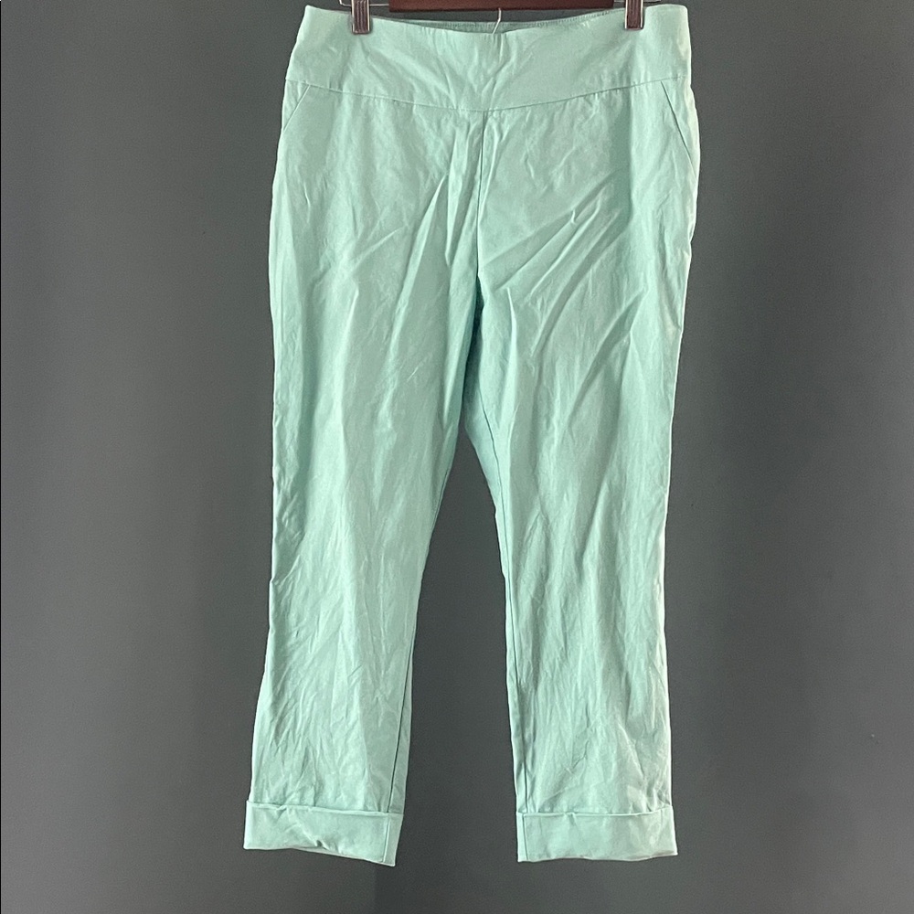 New York & Company mint  Green Pants